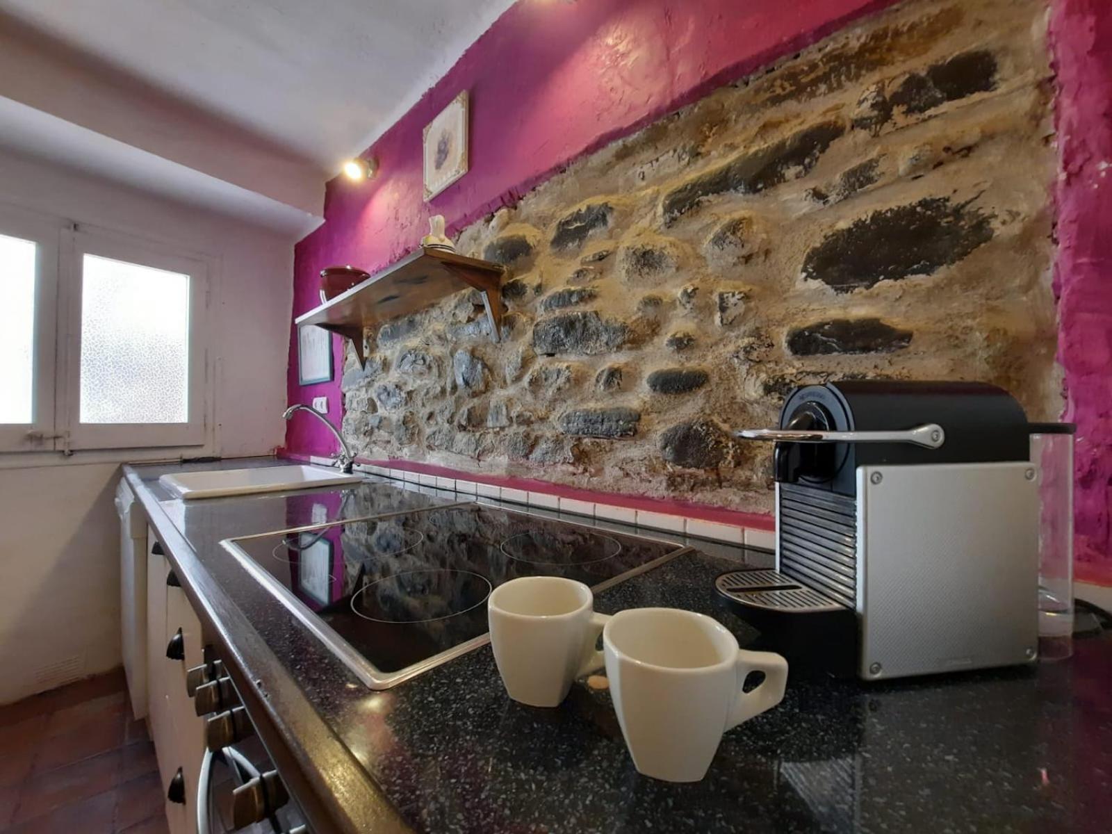 Casa Rural Cal Rocco Porta Del Pirineu La La Pobla de Segur Eksteriør billede